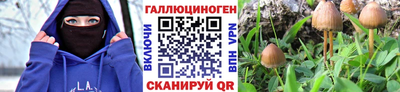 Псилоцибиновые грибы мицелий  Чухлома 